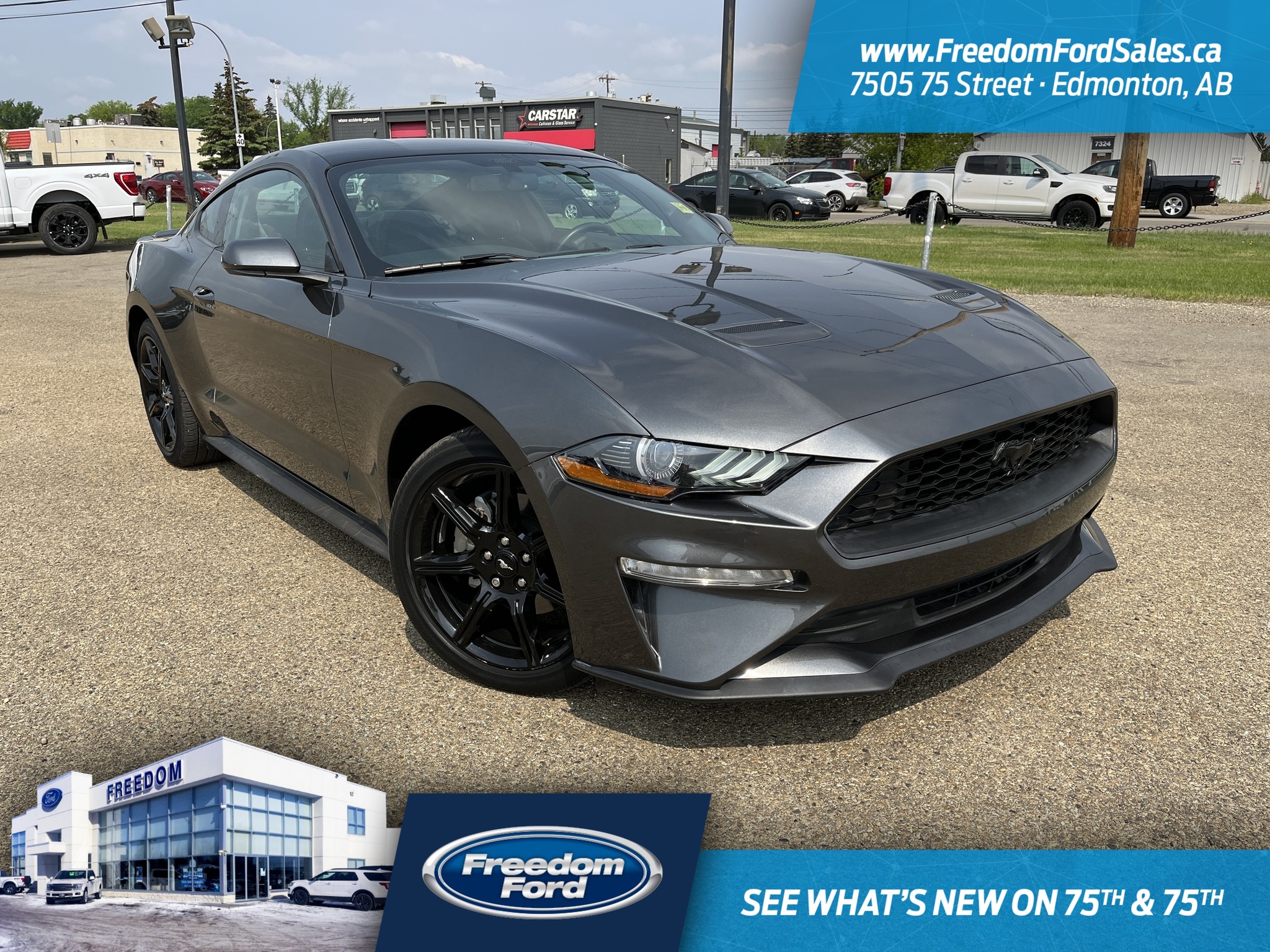 2018 Ford Mustang in Edmonton, AB | Freedom Ford - 1FA6P8TH7J5150588