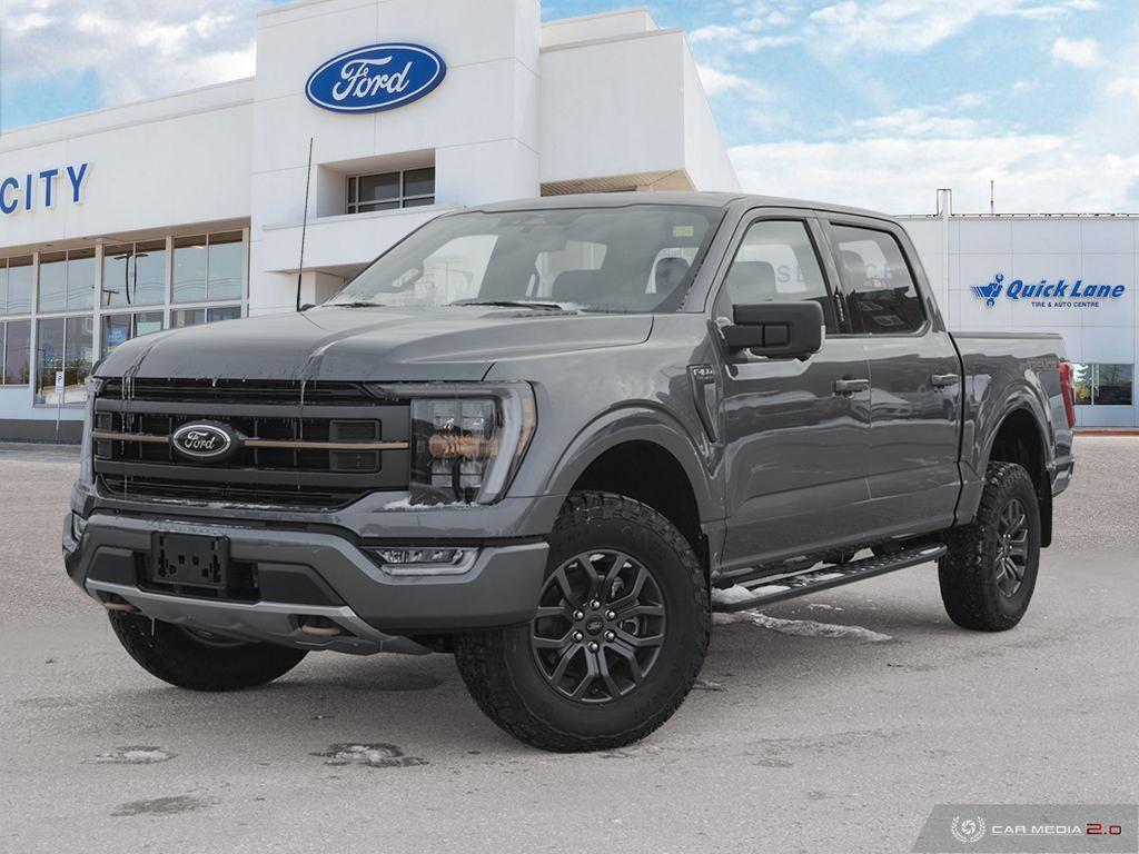 2023 Ford F-150 in Winnipeg, MB | River City Ford - 1FTEW1E81PFC94217