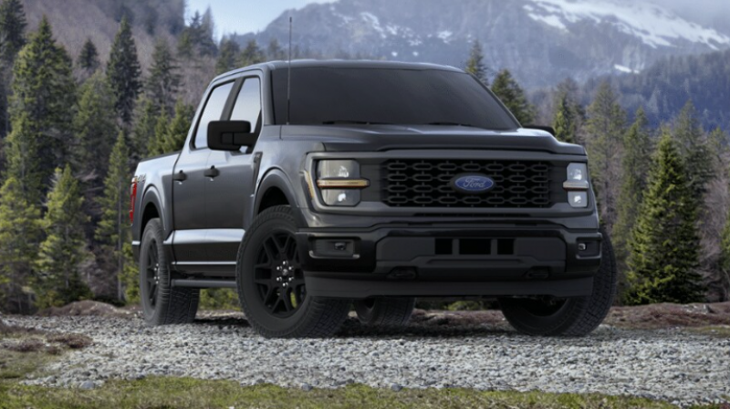 2024 Ford F-150 XLT - 303A/Black Pack+/Leather/B-O Sound! 60576309 ...